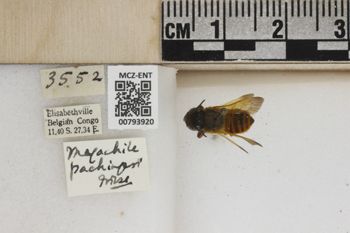 Media type: image;   Entomology 793920 Aspect: Labels